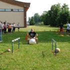 Dzień Patrona, Dzień Sportu